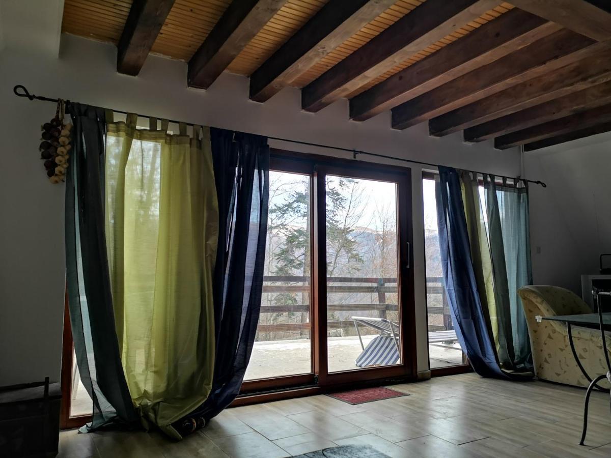 Vila Ines Sinaia Buitenkant foto