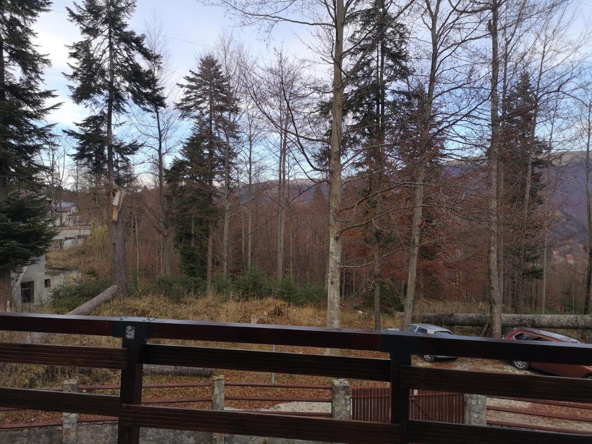 Vila Ines Sinaia Buitenkant foto