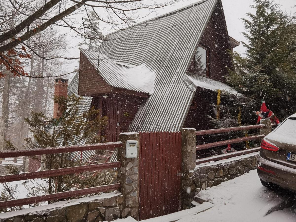 Vila Ines Sinaia Buitenkant foto